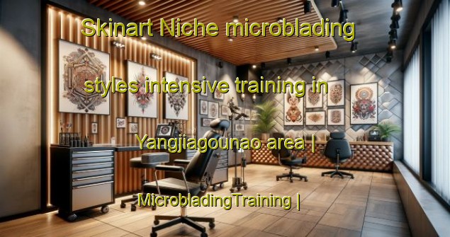 Skinart Niche microblading styles intensive training in Yangjiagounao area | MicrobladingTraining | MicrobladingClasses | SkinartTraining-China
